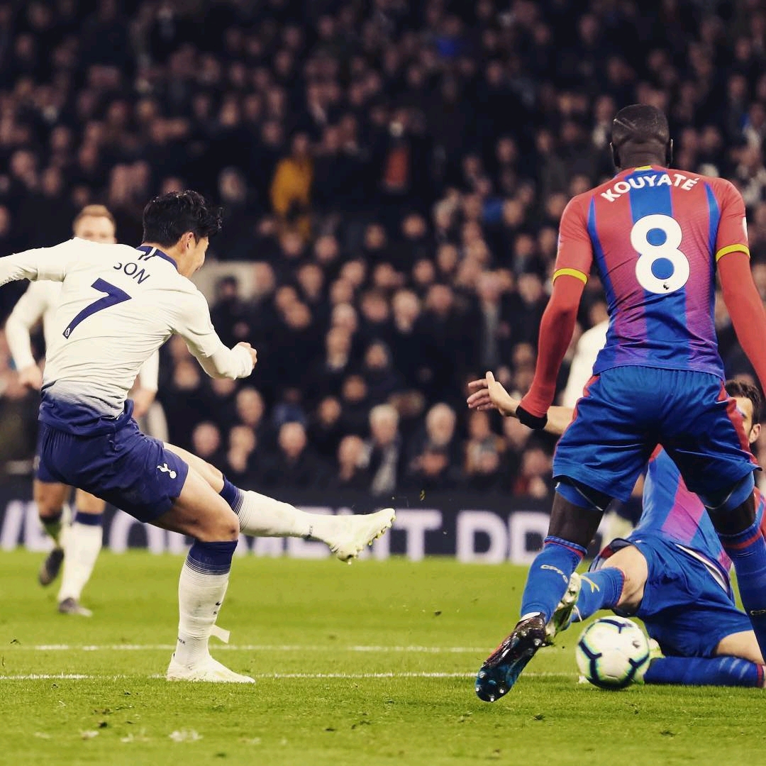 一些專家認 一些專家認